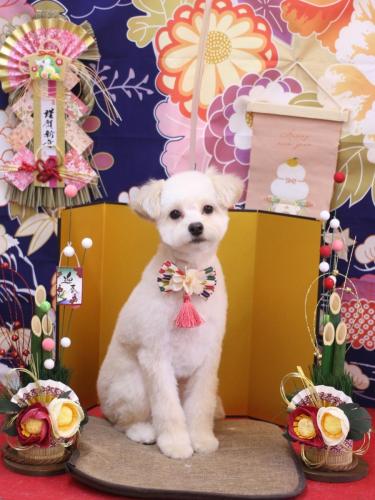 20240112ヌンくん